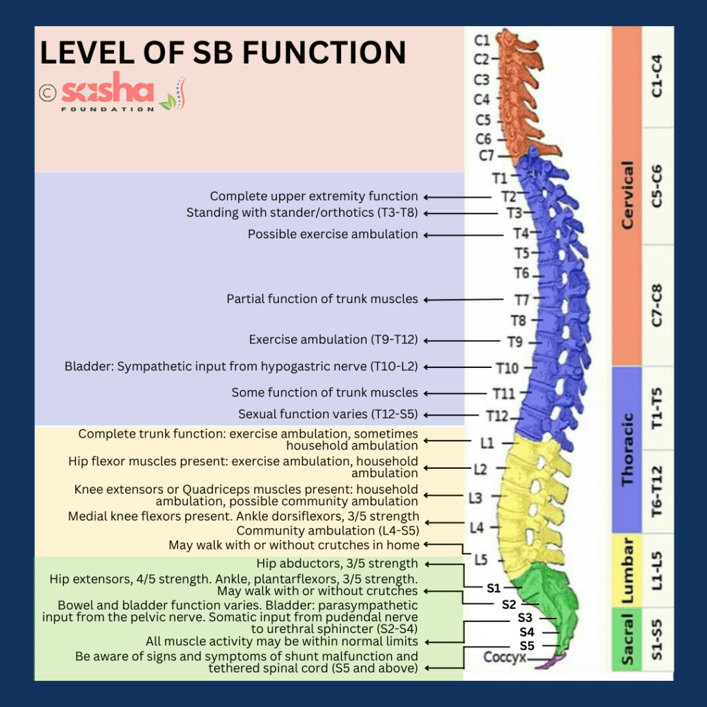 SB-functional-level