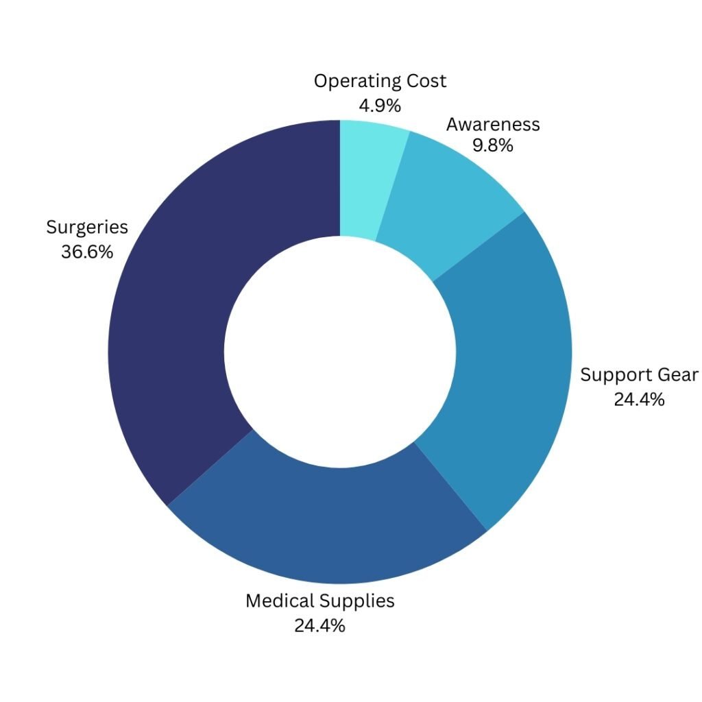 A chart showing how SASHA uses funds that are collected from donations