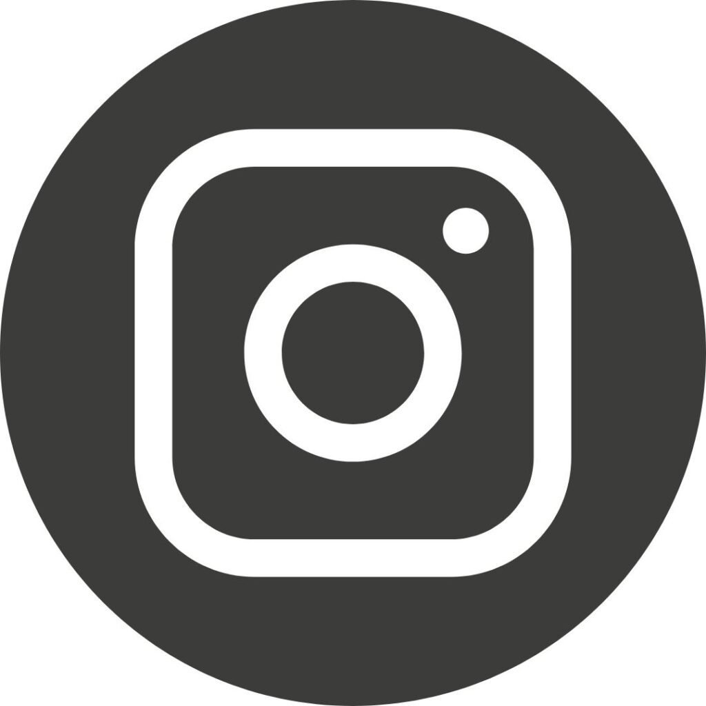 instagram-sasha-foundation illustrative icon depecting sasha foundation instagram link